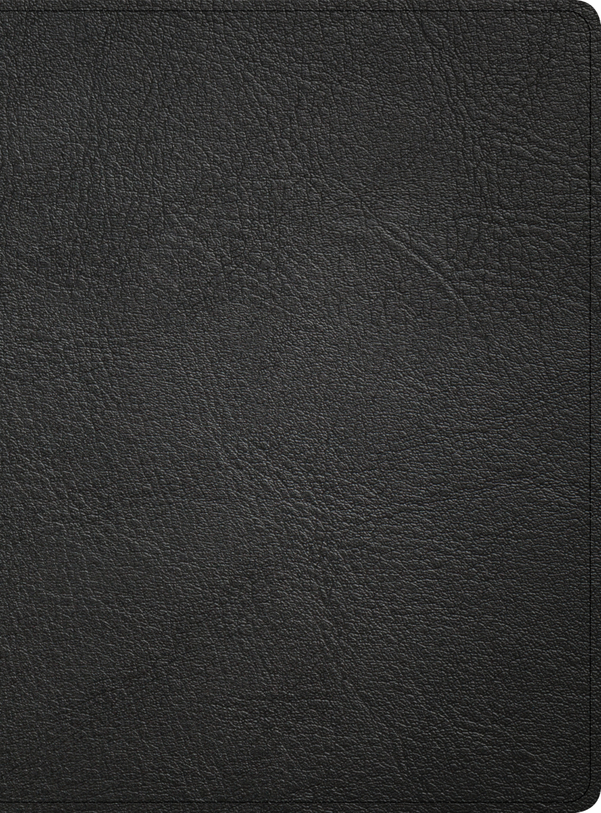 Black Genuine Leather